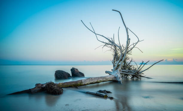 istock The art of beach 1163909265