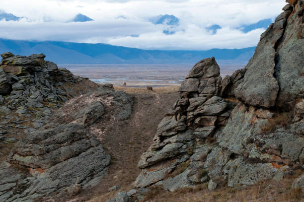 istock View of valley from the rock formation with grazing cattle 1163910037