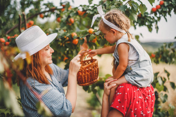istock Plants of our love 1163910422