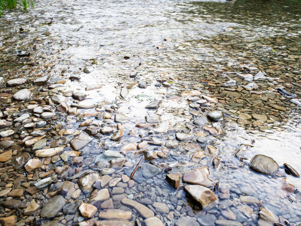 istock stone bed of mountain river in the Caucasus 1163910815