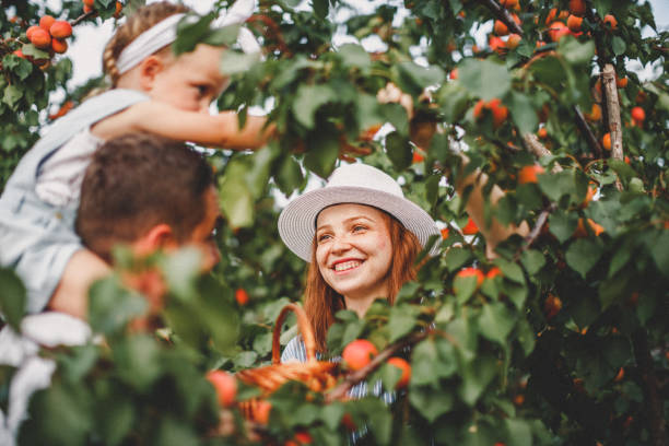 istock Family in nature 1163912089