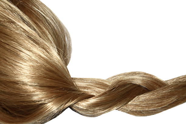 istock woman hair with salon tools 1163912335