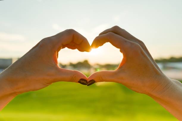 istock Heart from female hands, green grass sky evening sun background 1163912645