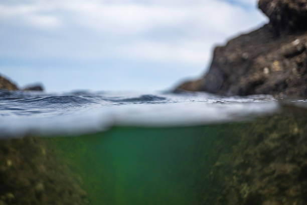 istock inside the dome, under water photography with an underwater case, half over half under water shot in the national park of Abel Tasman 1163913532