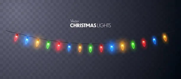 Vector illustration of Christmas Lights glowing garland isolated.