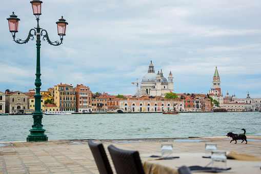 Cafe on the banks of the Venetian lagoon of the island on San Giorgio Maggiore, Piazza San Marco and the Doge's Palace. Venice, Italy