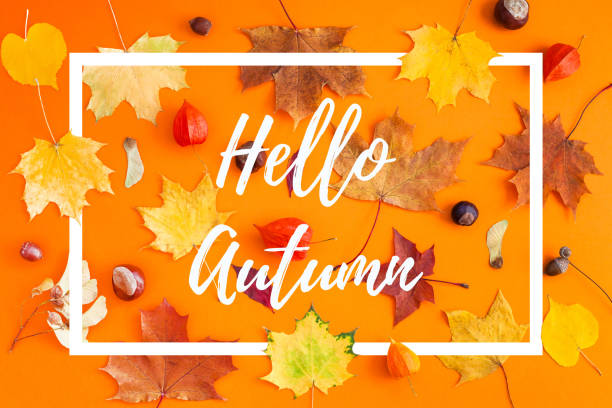 istock Dry autumn leaves as a postcard 1163915243