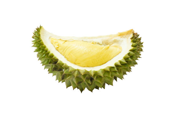 istock Piece of durian famous food ( king of fruit ) isolate on white background with clipping path 1163915657