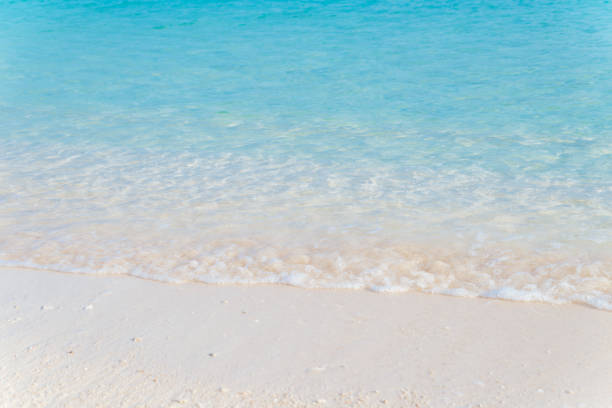 istock White sandy beaches and blue seas 1163916895