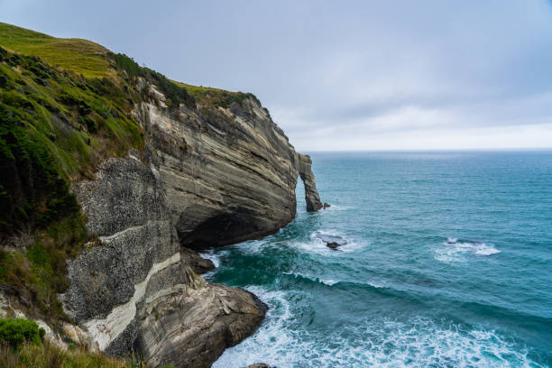 parque nacional able tasman nueva zelanda, tasman district south island new zealand, una espectacular costa escarpada en cape farewell en nueva zelanda. - new zealand fotos fotografías e imágenes de stock