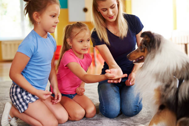 istock Girl giving dog her hand 1163918403