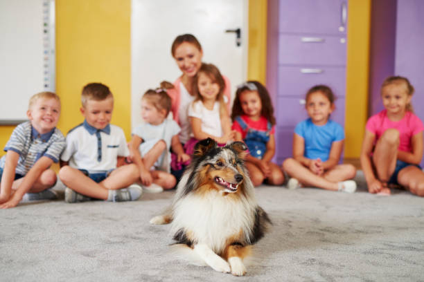 Therapy dog and group of children in the background Therapy dog and group of children in the background animal therapy stock pictures, royalty-free photos & images