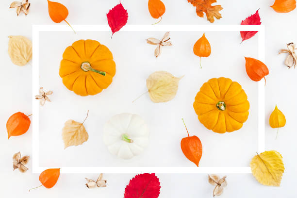 Creative Top view flat lay autumn composition with frame. Pumpkins dried orange flowers leaves background pattern. Template fall harvest thanksgiving halloween anniversary invitation cards