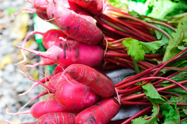 istock bunch of red radish 1163922555