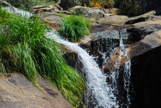 istock Beautiful waterfall in the forest 1163924133
