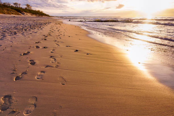 istock footprints in the sand, sandy beach, sunset on the seashore 1163924289