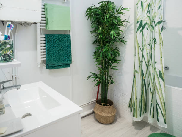 istock Bathroom in French Apartment 1163926632