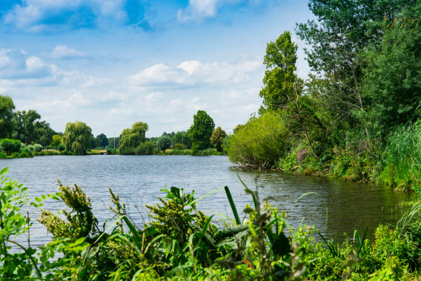 istock Lake called Wijchens more. Wijchen, The Netherlands 1163926842