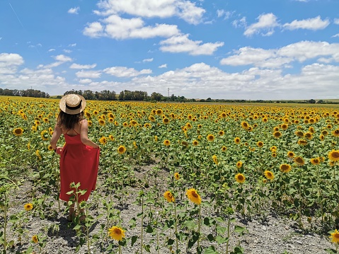 Young woman in a red dress with a canotier hat standing in the middle of a sunflower field with blue sky