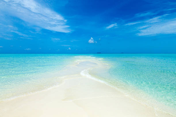 tropical Maldives island with white sandy beach and sea stock photo