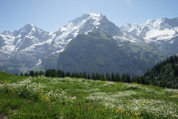istock Jungfrau mountains in Muerren, Switzerland 1163933221