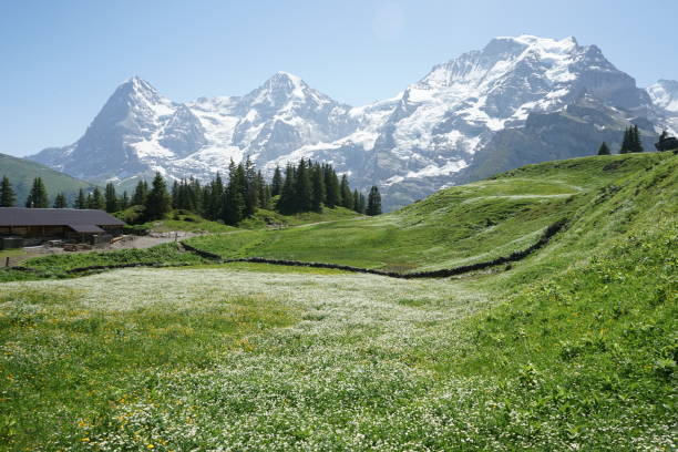 istock Jungfrau mountains in Muerren, Switzerland 1163933257