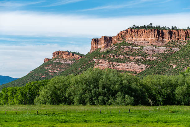 colorado landscape - valley tree remote landscape imagens e fotografias de stock