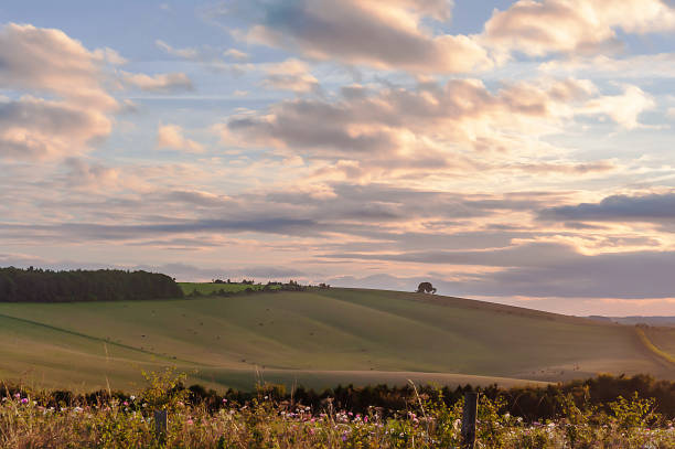 istock The sun setting over the fields of beautiful Wiltshire 1163934436