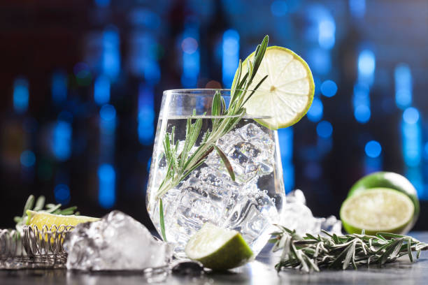 Glass with alcoholic drink with lime, ice and rosemary Glass with alcoholic drink with lime, ice and rosemary on bar lights background Gin stock pictures, royalty-free photos & images