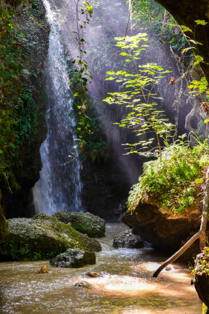 The woman at the waterfall.