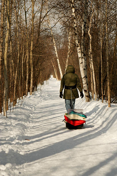 Walk in the wood stock photo