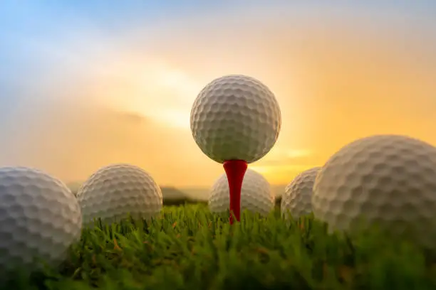 sport outdoor, golf ball on tee pegs ready to play in the green grass and light shines sunset