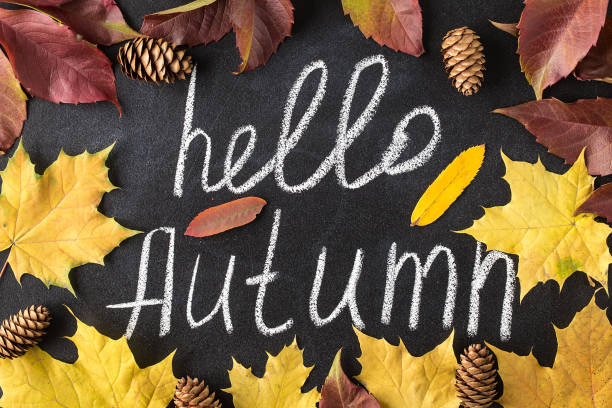 istock Hello Autumn white chalk lettering on blackboard 1163946433