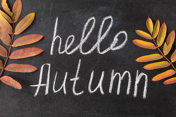istock Hello Autumn white chalk lettering on blackboard. 1163946436