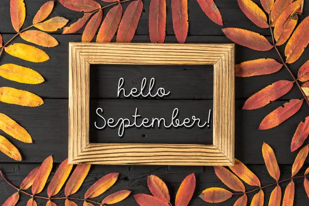 Photo of Hello September lettering card. Concept of the fall season