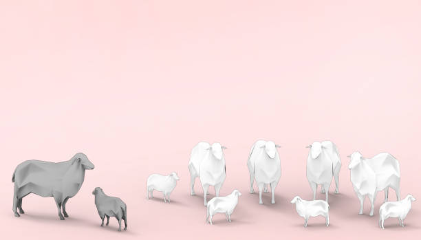 화이트 양 가족 그룹 낮은 폴리 개념 현대 미술과 현대 핑크 페이스트 배경에서 검은 양 - 3d 렌더링 - dall sheep 뉴스 사진 이미지