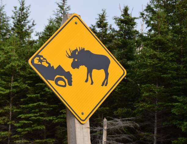 무스 횡단 경고 표지판 - moose crossing sign 뉴스 사진 이미지