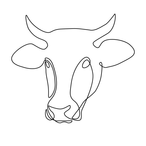 Cow head Cow head in line art drawing style. Black line sketch on white background. Vector illustration cow drawings stock illustrations