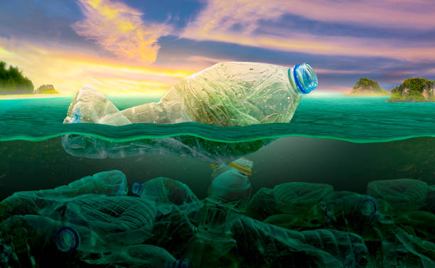 istock Plastic pollution in marine environmental problems Animals in the sea cannot live. And cause plastic pollution in the ocean (Environmental concept) 1163964538