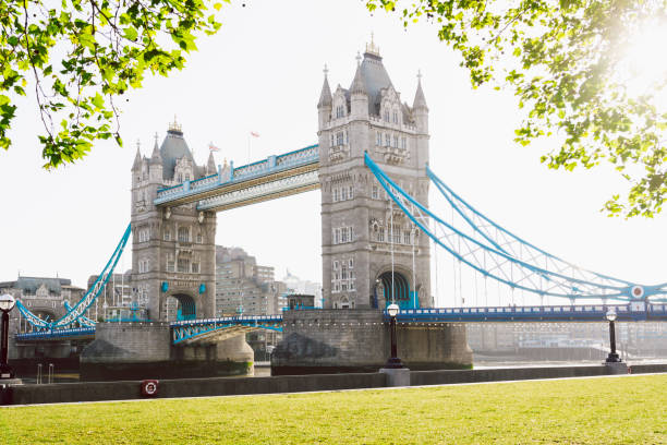 istock Tower Bridge in London at sunrise 1163966352