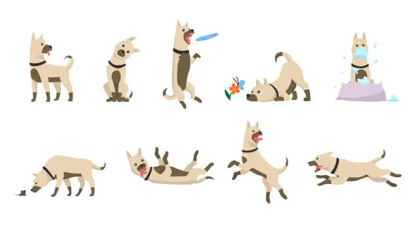 Vector illustration of Cartoon dog set. Dogs tricks icons and action training digging dirt eating pet food jumping wiggle sleeping running and barking brown happy cute animal poses vector isolated symbol illustration