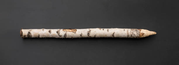wooden birch stake isolated on black background