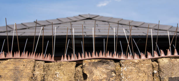 istock Anti-climbing spikes on a wall prevent entry into a property 1163972940