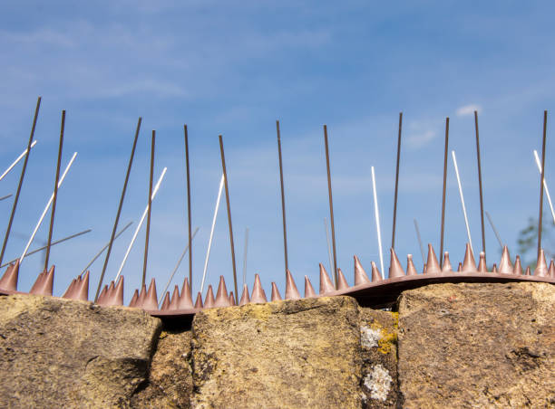 Anti-climbing spikes on a wall for property protection