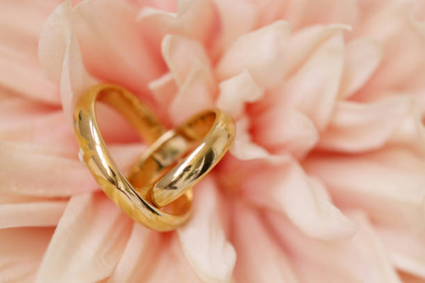istock Wedding rings on pink flower. 1163973367
