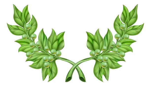 Vector illustration of Olive Branch Wreath