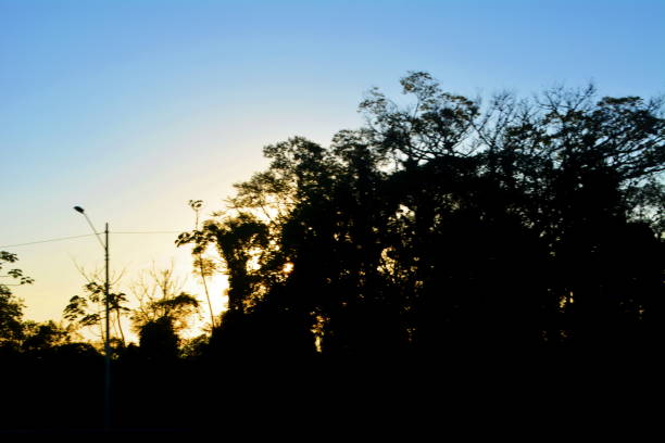 istock Beautiful dawn on the road 1163976077