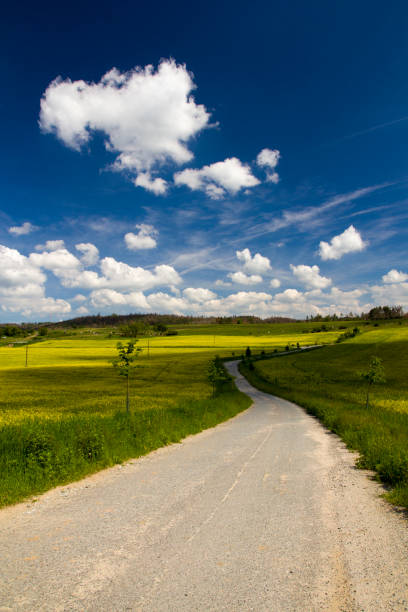 istock Rural houses and large barns in the fields 1163976761