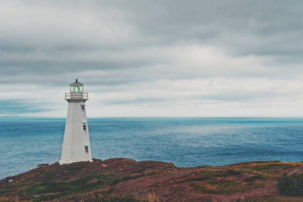 Cape Spear lighthouse,Avalon Peninsula, Newfoundland,Canada Cape Spear National Historic Site is located about 12 km southeast of St John's. Easternmost point in Canada. newfoundland and labrador photos stock pictures, royalty-free photos & images