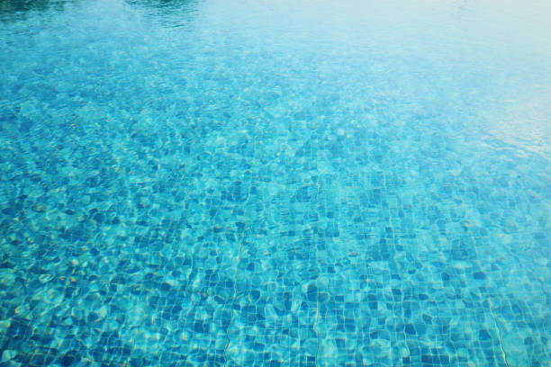 istock background top view of swimming pool 1163979489